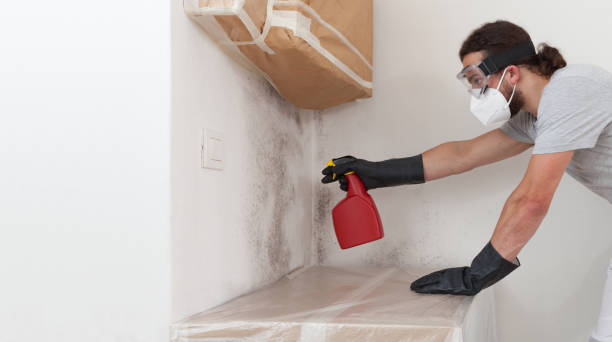 Professional Bathroom Mold Removal technician working in Richfield, PA
