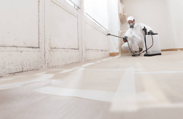 24/7 Emergency Bathroom Mold Removal experts in Richfield, PA